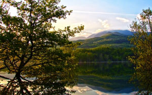water, forest, lake, mountain, landscape, nature