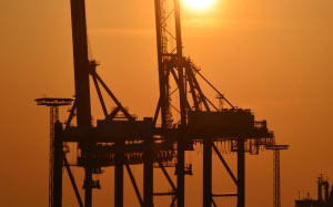 harbor cranes, gantry cranes, industry, port, sunset
