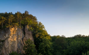 forest, rocks, mountains, nature, landscape, trees