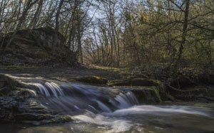 river, stream, forest, nature