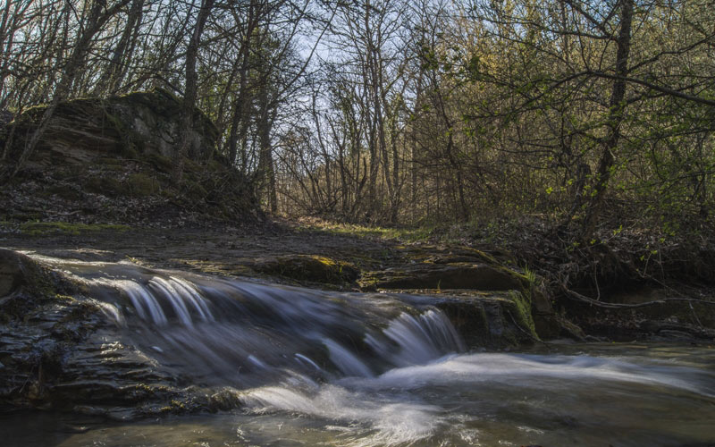 river, stream, forest, nature