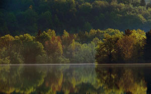 water, surface, lake, landscape, nature, forest, trees
