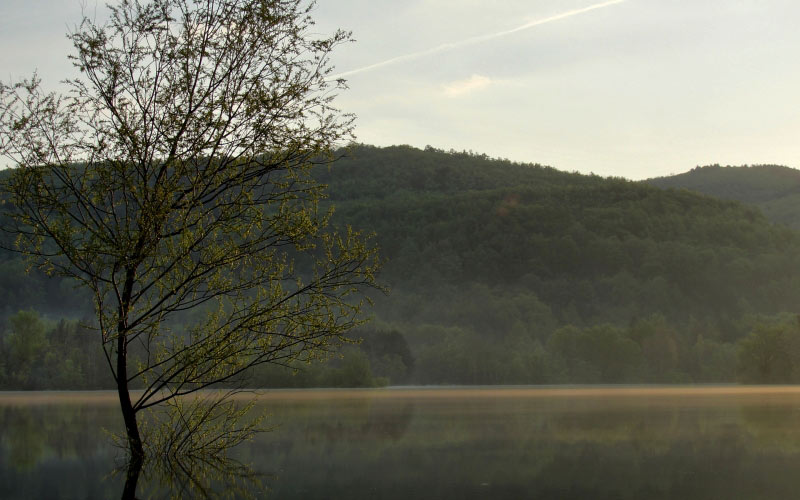 water, surface, lake, landscape, nature, forest, tree