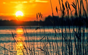 lake, sunset, landscape, nature, water