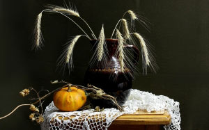 spikelets, composition, decorative pumpkin, hops, still life