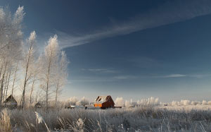 winter, nature, snow, cold, field, trees, landscape
