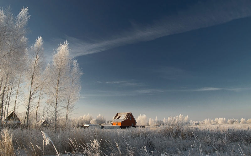 winter, nature, snow, cold, field, trees, landscape