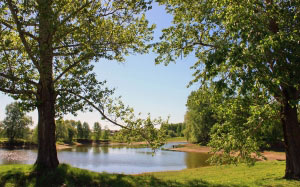 spring, may, lake, landscape, nature, fisherman