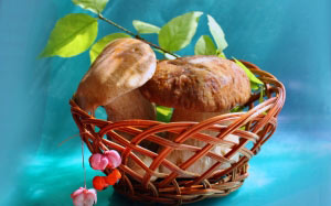 white mushrooms, mushrooms, composition, summer, still life