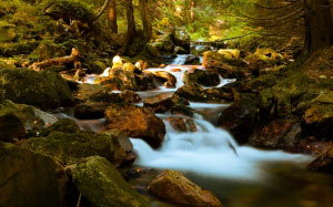 autumn, fall, forest, landscape, woods, nature, river, rock, stones, stream, water, waterfall
