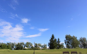 nature, park, green, sky, grass, tree, bench