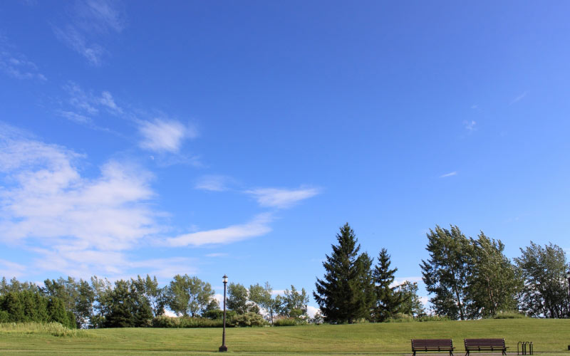 nature, park, green, sky, grass, tree, bench