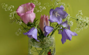 bouquet, bells, composition, summer, flowers, still life