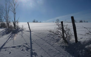 snow, winter, nature, landscape