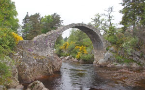 packhorsebridge, carrbridge, scotland, uk, river