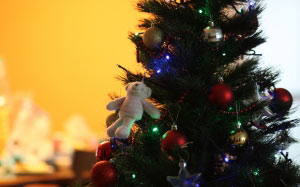 christmas, tree, bear, new year, christmas ornaments