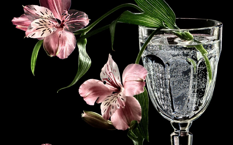 Alstroemeria, still life, flowers