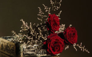 still life, nature, plants, roses, flowers