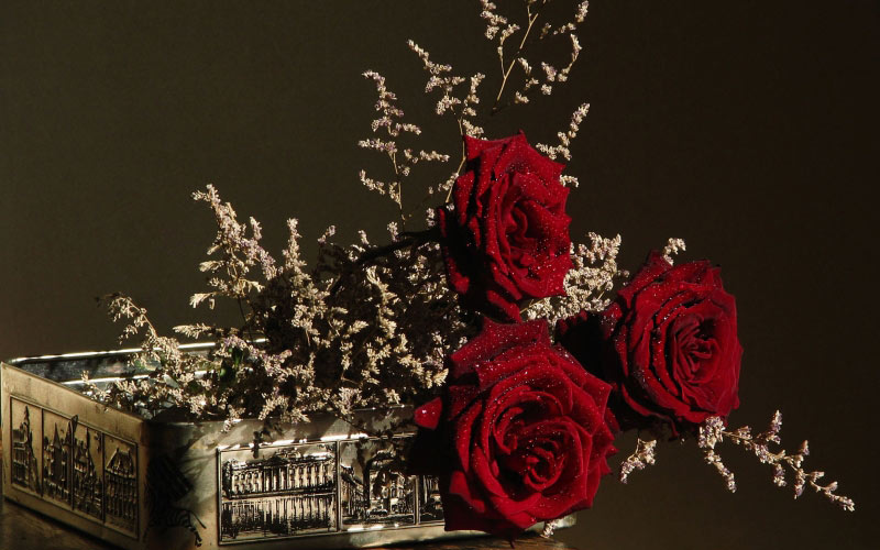 still life, nature, plants, roses, flowers
