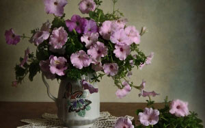still life, autumn, petunia, nature, plants, flowers