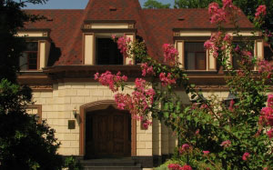 architecture, building, nature, flowers