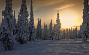 winter, sunset, weather, snow, skihill, trees, landscape, scenery, romantic, beautiful, british columbia, canada, sun peaks, sport, alpine, nature, sky, clouds, winter magic, cold, frosty