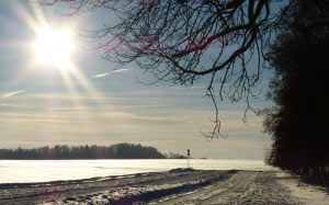 winter, snow, landscape, snowy, tree, trees, wintry, sun, abendstimmung