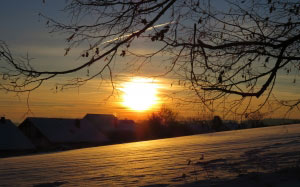 wintry, sunset, sun, fields, snowy, winter, cold, tree, aesthetic, back light, golden, light, mood