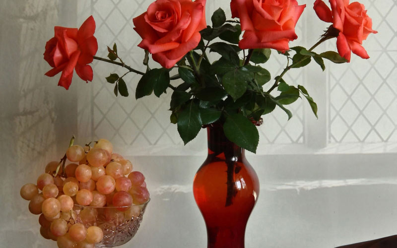 grapes, still life, autumn, dishes, roses, flowers