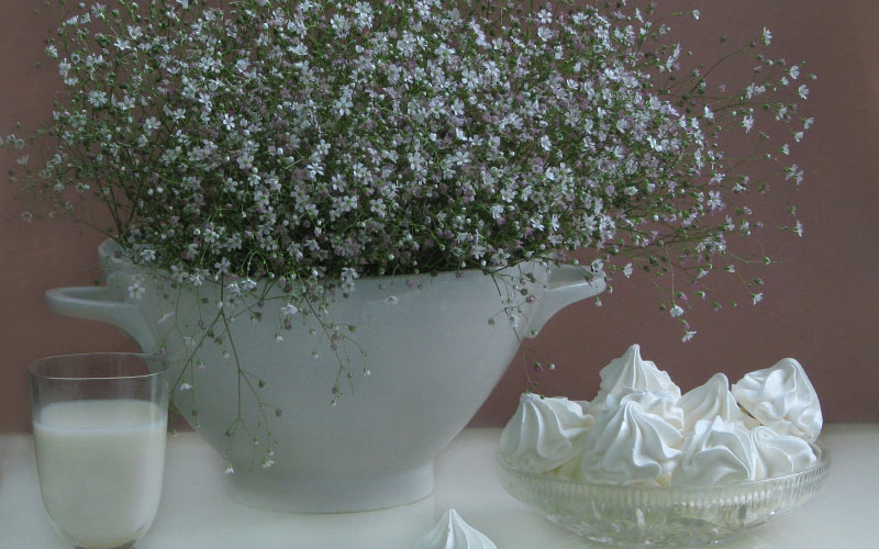 spring, May, still life, cards, plants, flowers