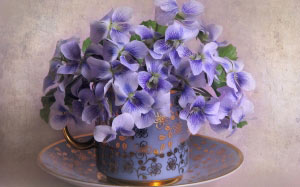 April, spring, still life, cards, plants, violets, flowers