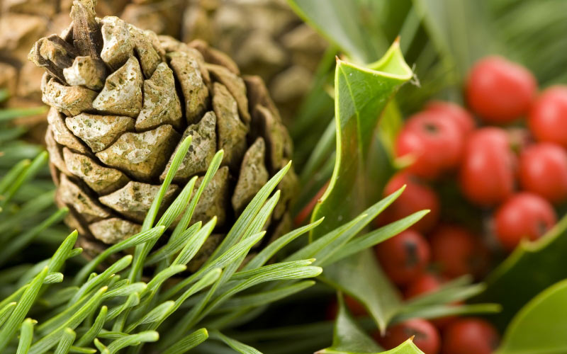 Christmas, New Year, holidays, xmas, christmas tree, cone, holly