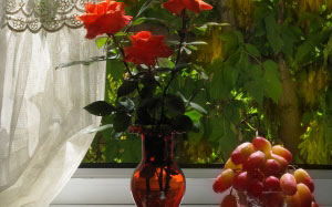 grapes, still life, autumn, dishes, nature, roses, September, flora, fruit, flowers