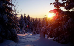 winter sun, wintry, cold