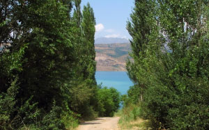 mountains, summer, nature, Tashkent, Tien Shan, Uzbekistan, flora, Charvak