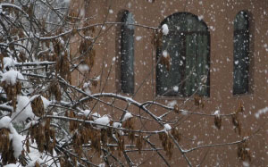winter, november, nature, snow, Tashkent, Uzbekistan