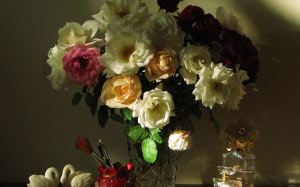 beauty, still life, autumn, rose, Tashkent, Uzbekistan, flora, flowers