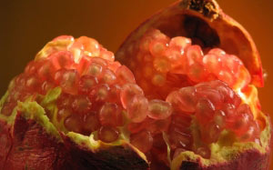 pomegranate, nature gifts, food, cooking, macro, autumn, fruits, berries