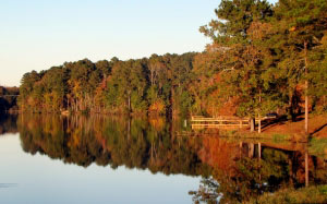 lake, water, tree, landscape, forest, nature, fall, autumn, woods