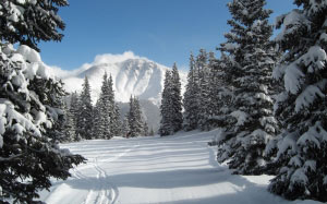 Winter Park, mountains, trees, snow, forest, woods, Winter Park