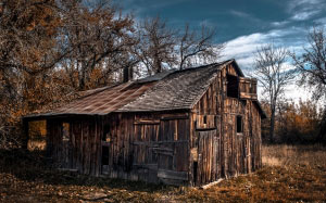 autumn, fall, rural, farm, ranch, cabin, colorado, barn