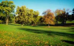 omaha, nebraska, golf course, sports, fall, autumn, fallen leaves, nature, trees, rural