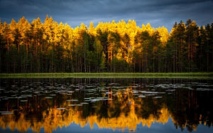 autumn, nature, forest, lake, landscape