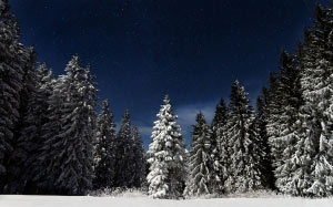 winter landscape, mountain, forest, winter, snow, nature, landscape