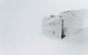 winter landscape, winter, snow, nature, landscape, severe cold