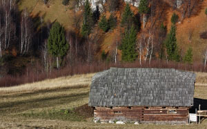 autumn, nature, landscape, forest, trees, hut