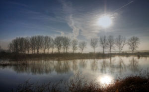 autumn, nature, landscape, trees, swamp, lake
