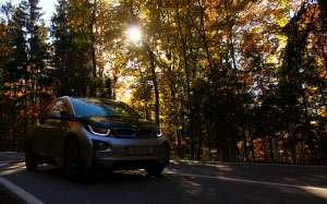 machine, transport, vehicle, BMW, car, nature, forest, landscape, trees, road