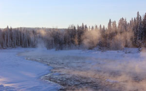 winter landscape, river, forest, winter, snow, nature, landscape