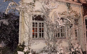 winter, snow, town, house